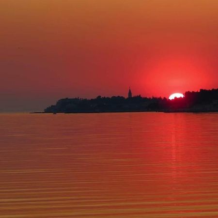 Apartment Novigrad City Centre Екстер'єр фото